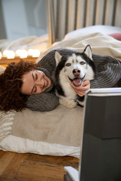 Understanding and Managing Seizures in Pets: A Comprehensive Guide