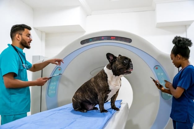 A dog undergoing an MRI scan in a veterinary clinic, with veterinary staff monitoring the equipment.