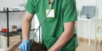 Respiratory Infections: Symptoms & Care for Your Pet's Health - Cover Image