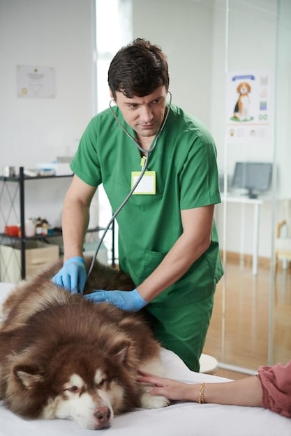 Respiratory Infections: Symptoms & Care for Your Pet’s Health