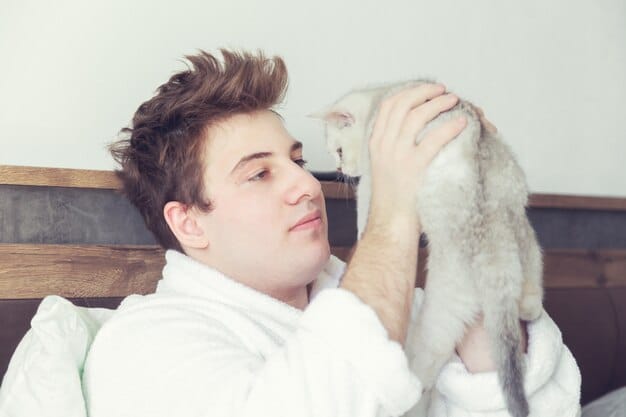 A pet owner gently wiping a cat's nose with a soft cloth, demonstrating supportive care. The owner's expression is gentle and caring, and the cat appears relaxed and comfortable.