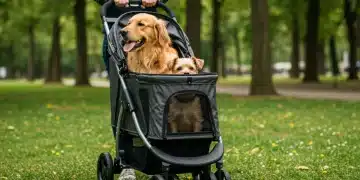 Golden retriever and terrier mix enjoying a ride in a modern pet stroller in a park.