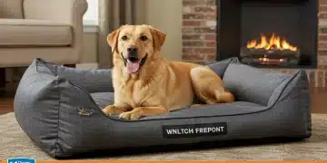 Chew-resistant dog bed with a happy dog resting