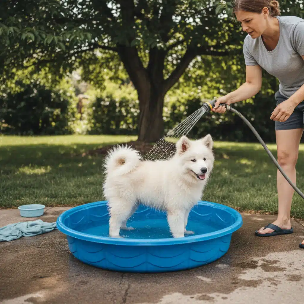 Person cooling a dog with water in a shaded backyard pool